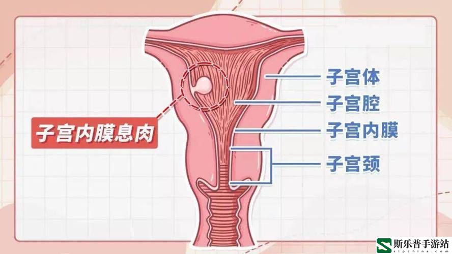 大蘑菇进入**的10个原因