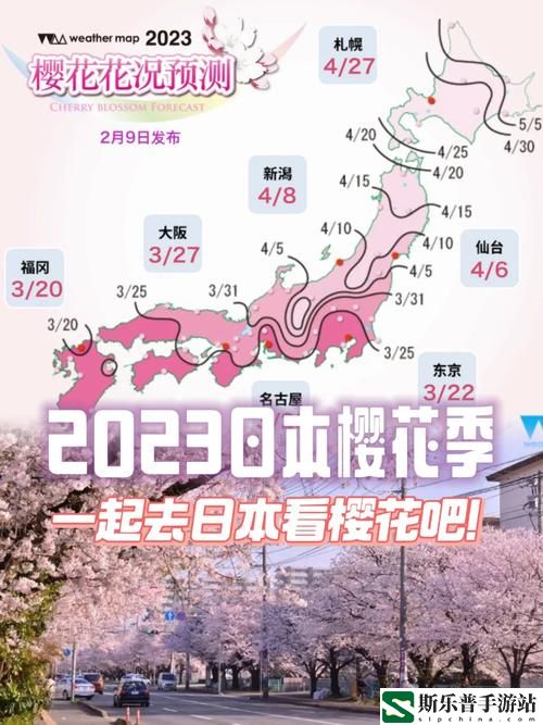 樱花官网官方入门网站2023