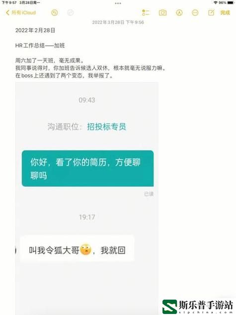 瞒着老公加班的hr中字