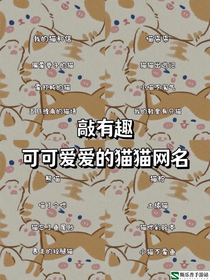 猫咪成人最新地域网名怎么取