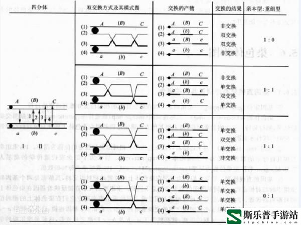 交换する和取り替える的区别