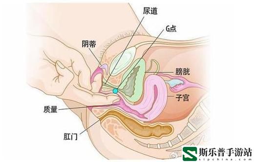 大荫蒂BBBBBB大荫蒂