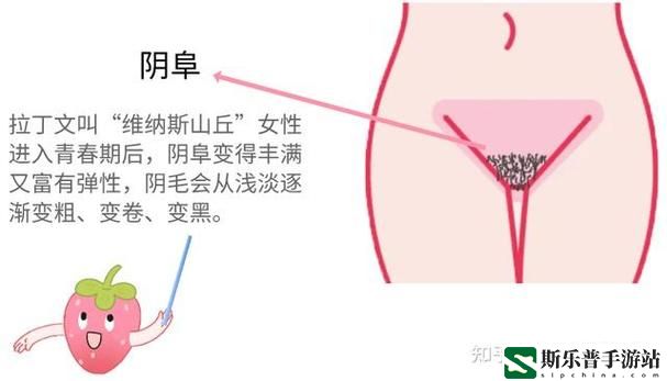 大荫蒂BBBBBB大荫蒂