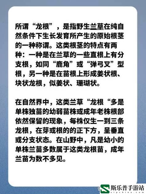 用龙根养大的公主姜宜珠姜封