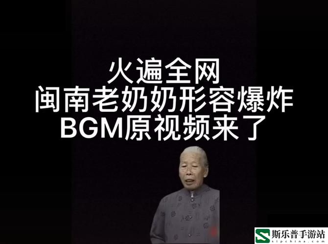 BGMBGMBGM老太太交70