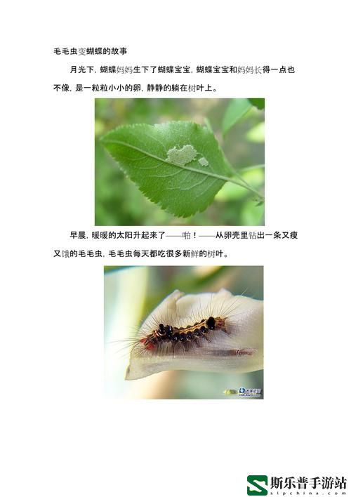 他的舌头探进蜜源毛毛虫说说怎么写